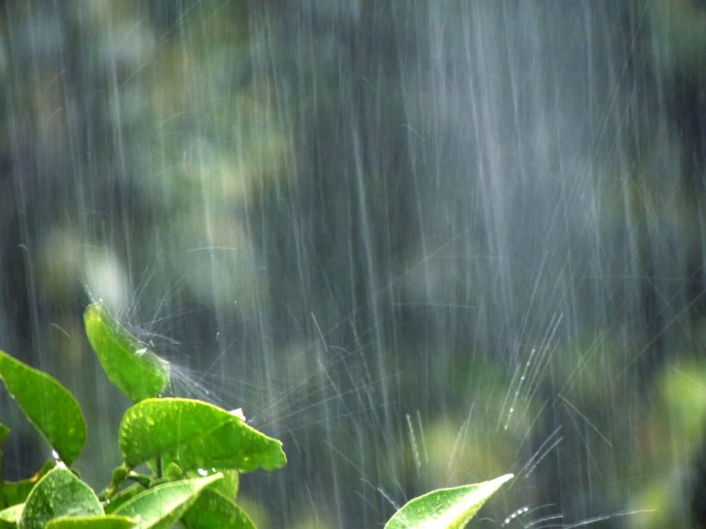 松本市梅雨入り