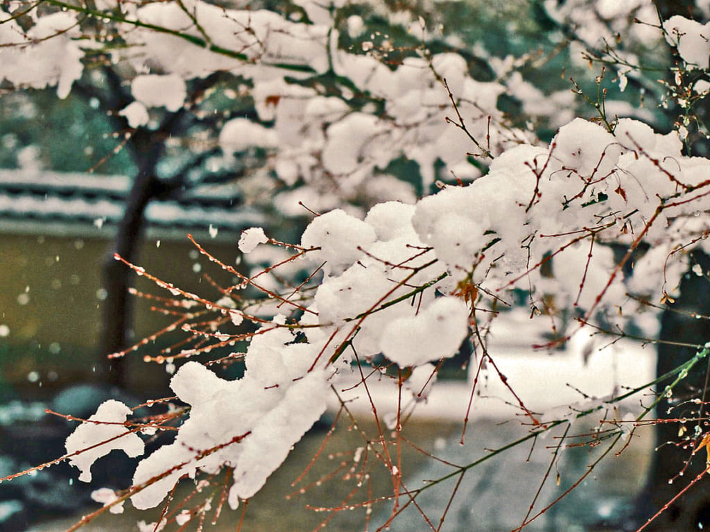 松本市雪