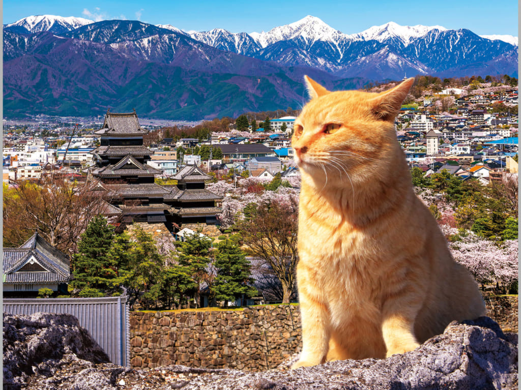 松本市ただいまつもと