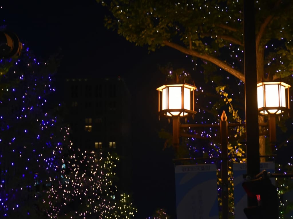 松本市照明