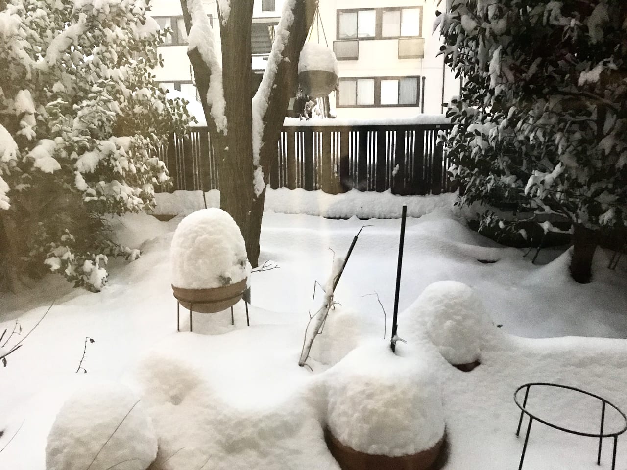 松本市積雪